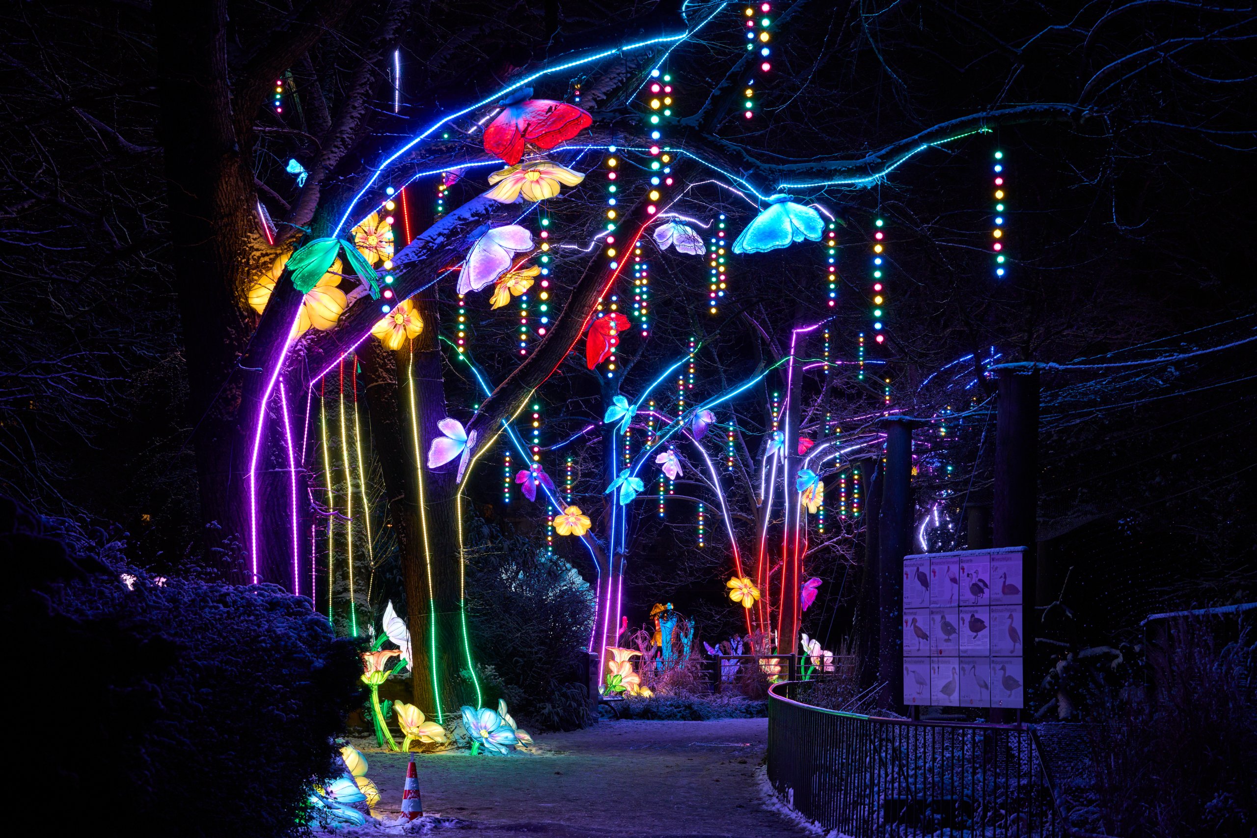 2026 01 05 China Lights 0259